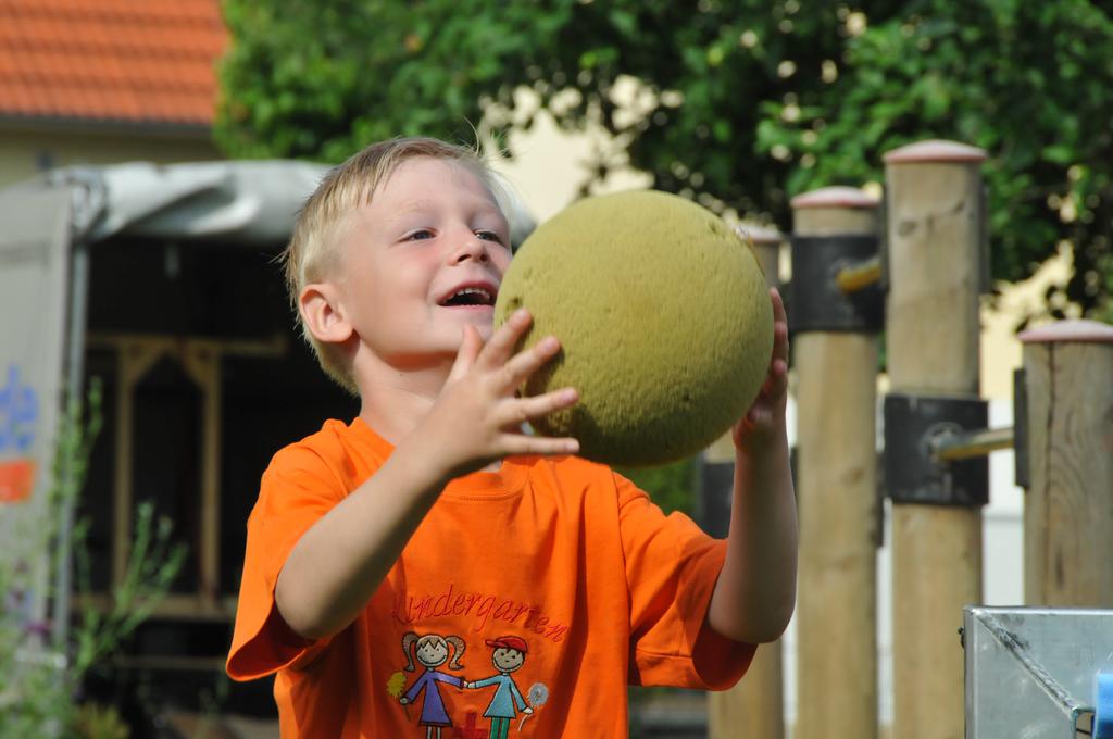 Soccer-Ei